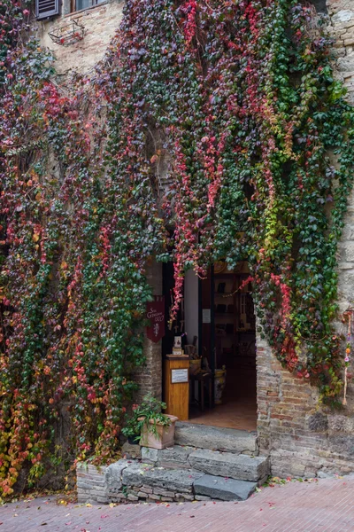 Antique building entwined with ivy — Stock Photo, Image