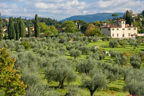 Сады Боболи во Флоренции — стоковое фото
