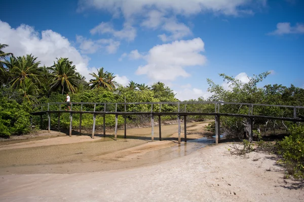 Hombre caminando en el puente a través del río poco profundo — Foto de Stock