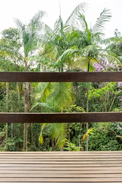 Vista Desde Balcón Casa Montaña Verde Paisaje Selva Tropical Reserva — Foto de Stock