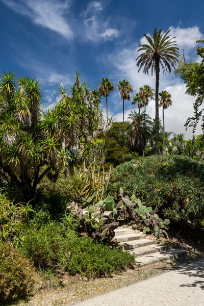 Tropische Botanische Tuin Het Centrum Van Lissabon Portugal — Stockfoto