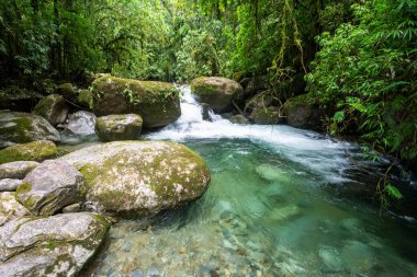 Yağmur ormanlarında kristal berrak su ile güzel yeşil yağmur ormanı şelalesi, Serrinha do Alambari Ekolojik Rezervi, Rio de Janeiro, Brezilya
