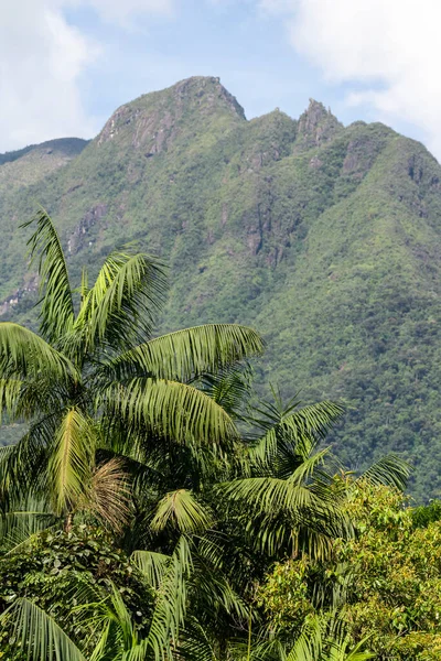 Hermosas Montañas Altitud Verde Paisaje Selva Tropical Reserva Ecológica Serrinha — Foto de Stock