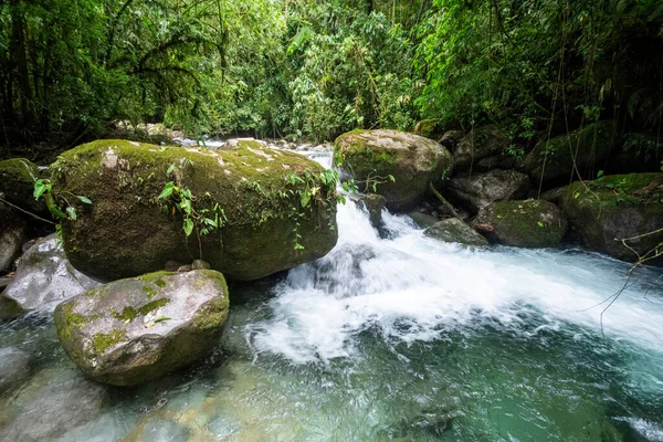 Hermosa Cascada Selva Verde Con Aguas Cristalinas Selva Tropical Reserva — Foto de Stock