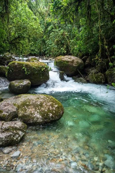 Hermosa Cascada Selva Verde Con Aguas Cristalinas Selva Tropical Reserva — Foto de Stock