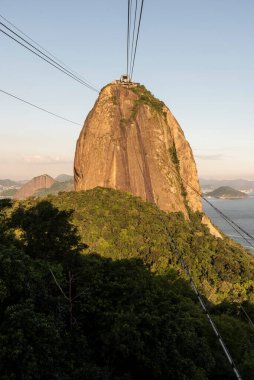Şeker Loaf dağ teleferiğinden Rio de Janeiro, Brezilya 'daki yağmur ormanlarına güzel bir manzara