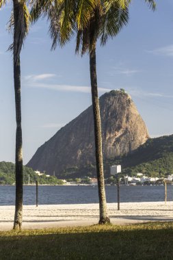 Brezilya, Rio de Janeiro 'daki Flamengo Sahili' nden görünen hindistan cevizi palmiyelerinin arkasındaki Sugar Loaf Dağı 'na güzel bir manzara.