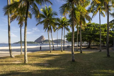 Brezilya, Rio de Janeiro 'daki Flamengo Sahili' nden görünen hindistan cevizi palmiyelerinin arkasındaki Sugar Loaf Dağı 'na güzel bir manzara.