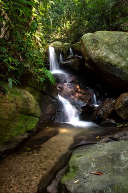 Yeşil yağmur ormanlarındaki kayalık şelalenin güzel manzarası, Tijuca Park, Rio de Janeiro, Brezilya