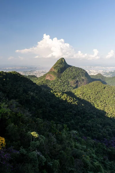 Gyönyörű Zöld Hegyi Esőerdő Táj Tijuca Park Rio Janeiro Brazília — Stock Fotó