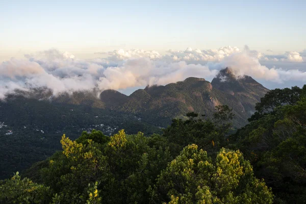 Прекрасний Вид Зелені Гори Хмари Вологих Тропічних Лісів Парку Тіджука — стокове фото