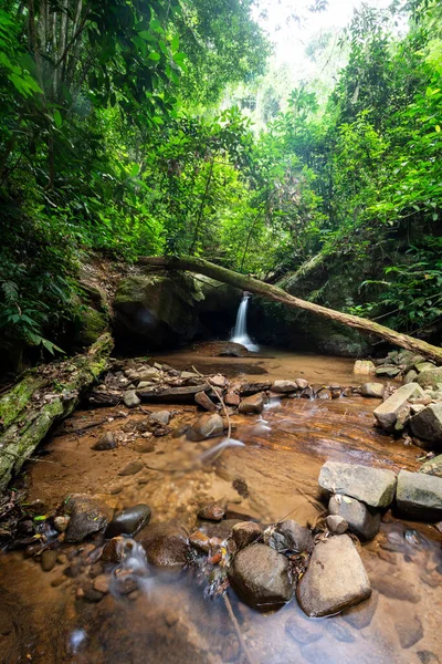 Hermosa Vista Piscina Del Río Selva Tropical Cascada Paisaje Verde — Foto de Stock