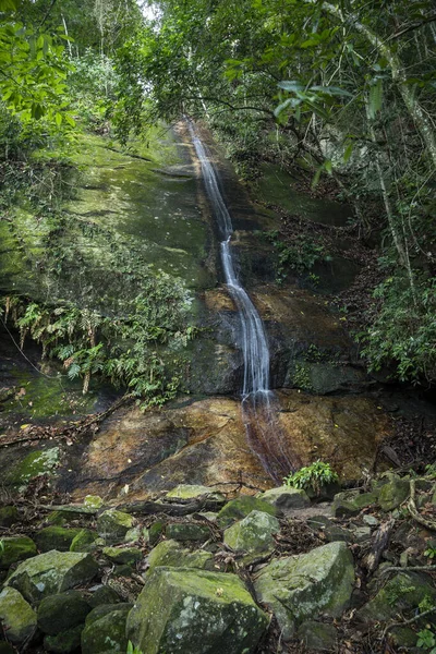 Hermosa Cascada Selva Tropical Paisaje Verde Parque Tijuca Río Janeiro — Foto de Stock