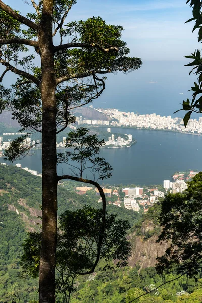 Krásný Výhled Město Zeleného Horského Parku Deštných Pralesů Rio Janeiro — Stock fotografie