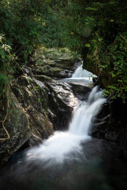 Serrinha do Alambari, Mantiqueira Dağları, Rio de Janeiro, Brezilya