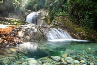 Serrinha do Alambari, Mantiqueira Dağları, Rio de Janeiro, Brezilya
