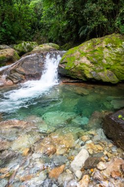 Serrinha do Alambari, Mantiqueira Dağları, Rio de Janeiro, Brezilya