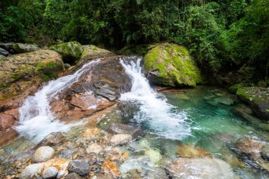 Serrinha do Alambari, Mantiqueira Dağları, Rio de Janeiro, Brezilya