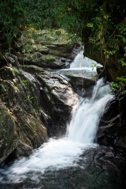 Serrinha do Alambari, Mantiqueira Dağları, Rio de Janeiro, Brezilya
