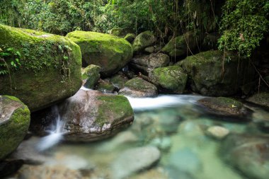 Serrinha do Alambari, Mantiqueira Dağları, Rio de Janeiro, Brezilya