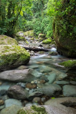Serrinha do Alambari, Mantiqueira Dağları, Rio de Janeiro, Brezilya
