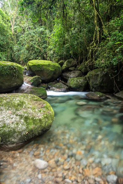 Hermosa Cascada Selva Tropical Con Aguas Cristalinas Paisaje Verde Serrinha — Foto de Stock