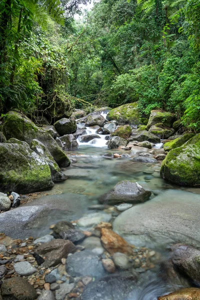 Belle Rivière Forêt Tropicale Avec Eau Cristalline Sur Paysage Vert — Photo