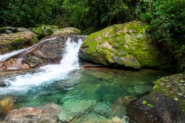 Hermosa Cascada Selva Tropical Con Aguas Cristalinas Paisaje Verde Serrinha — Foto de Stock