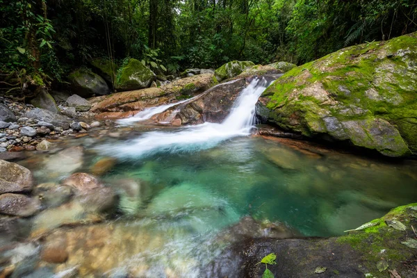 Hermosa Cascada Selva Tropical Con Aguas Cristalinas Paisaje Verde Serrinha — Foto de Stock