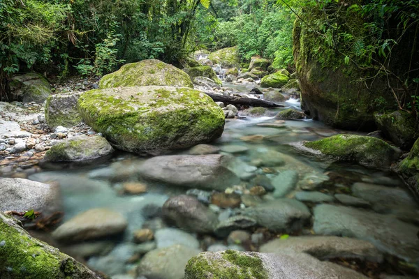 Gyönyörű Esőerdő Folyó Kristálytiszta Vízzel Zöld Tájon Serrinha Alambari Mantiqueira — Stock Fotó
