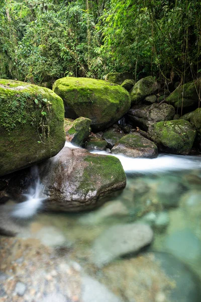 Nádherný Deštný Vodopád Křišťálově Čistou Vodou Zelené Krajině Serrinha Alambari — Stock fotografie
