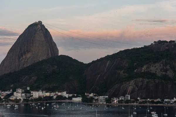 Rio Janeiro Brezilya Daki Sugar Loaf Dağı Güzel Bir Gün — Stok fotoğraf