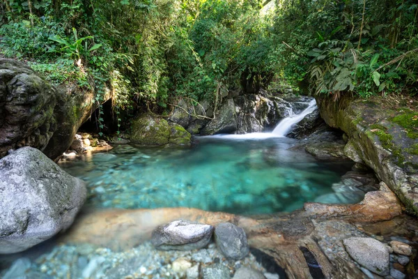 Hermosa Cascada Selva Tropical Con Aguas Cristalinas Paisaje Verde Serrinha — Foto de Stock