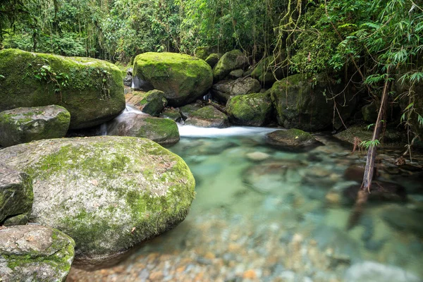 Bela Cachoeira Floresta Tropical Com Águas Cristalinas Paisagem Verde Serrinha — Fotografia de Stock