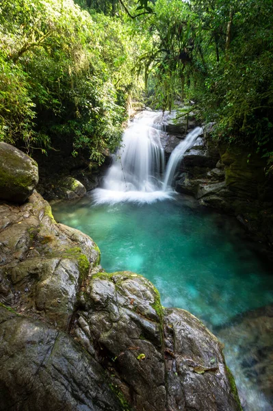 Beautiful Rainforest Waterfall Crystal Clear Water Green Landscape Serrinha Alambari — Stock Photo, Image