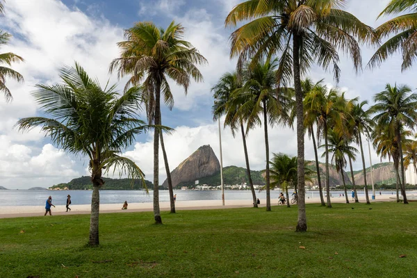 Hermosa Vista Las Palmeras Montaña Sugar Loaf Río Janeiro Brasil — Foto de Stock