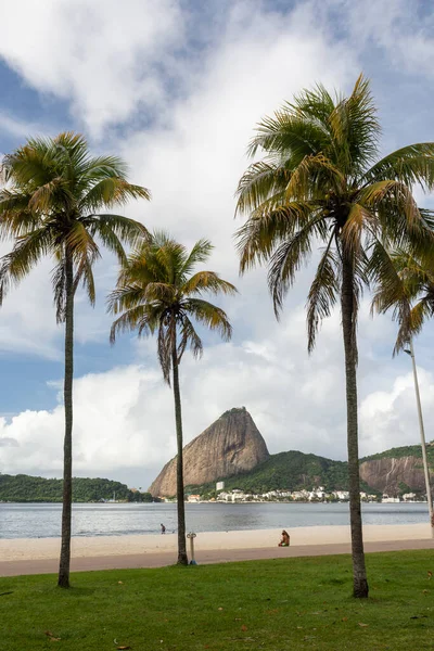 Prachtig Uitzicht Palmbomen Sugar Loaf Mountain Rio Janeiro Brazilië — Stockfoto