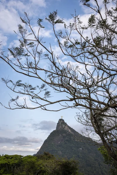 Bela Vista Para Cristo Estátua Topo Montanha Verde Floresta Tropical — Fotografia de Stock