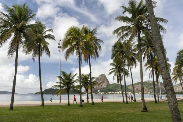 Bela Vista Para Palmeiras Montanha Pão Açúcar Rio Janeiro Brasil — Fotografia de Stock