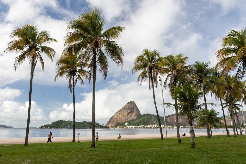 Beautiful view to palm trees and Sugar Loaf Mountain in Rio de Janeiro, Brazil