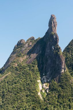 Keskin kayalık dağları olan güzel yeşil yağmur ormanları Rio de Janeiro, Brezilya