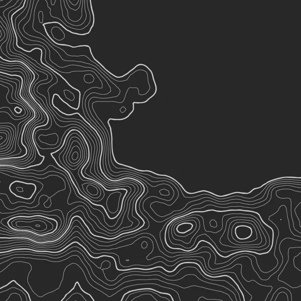 コピーのためのスペースと地形図の背景。線の地形図輪郭の背景、地理グリッド抽象ベクトル図。地形の上の山岳ハイキングコース . — ストックベクタ