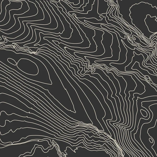 Topografia vetorial de contornos cinzentos. Ilustração vetorial de topografia de montanha geográfica. Textura de padrão topográfico. Mapa em terreno vetorial terrestre. Elevação linhas de altura de contorno gráfico. Mapa topográfico —  Vetores de Stock