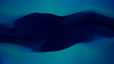 Mavi gradyan 4k kusursuz animasyon. Soyut mavi arkaplan tasarım sanatı.