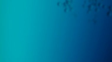 Moleküler yapı hareketsiz döngü. 3D biyoteknoloji kimyasal kavramı. Molekül tıbbi hücre biyolojisi geçmişi. Atom soyut cilt bakımı makrosu 4k.