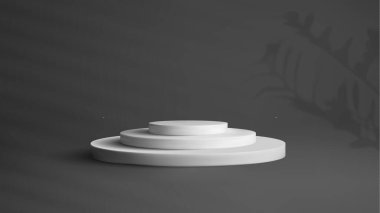 Siyah interrior ile yuvarlak beyaz podyum. Ödül kazanan Platform stüdyosu. Gölge etkisi olan 3 boyutlu vektör aşaması. Gerçekçi yumuşak gölgeli çiçek tasarımlı doğa arka plan vektörü.