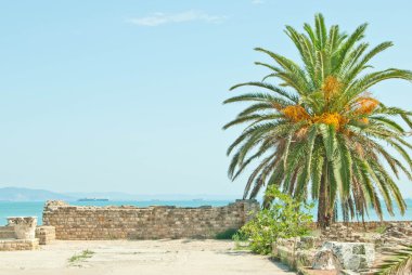 Hurma ve Tunus Kalesi'nde