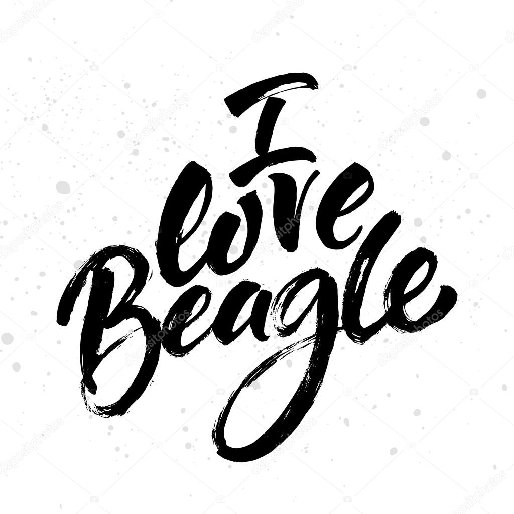 I love beagle card.