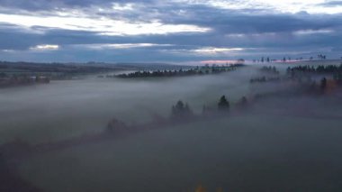 Prens Edward Adası Kanada 'nın sabah sisi ile dolu renkli sonbahar ormanlarının hava manzarası. Yüksek kalite 4k görüntü