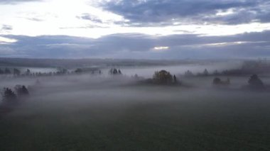 Prens Edward Adası Kanada 'nın sabah sisi ile dolu renkli sonbahar ormanlarının hava manzarası. Yüksek kalite 4k görüntü